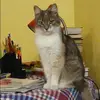 Отзыв от Ксения Горлова